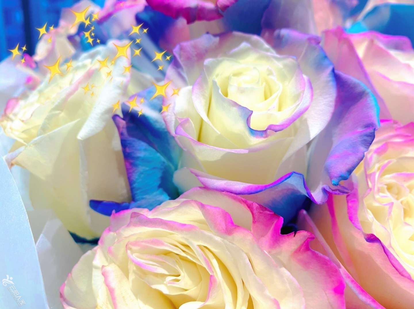 20220824111000front2_0_2775_Fg09QiL2A5ebkqHWWynr8ikQsQhV.png