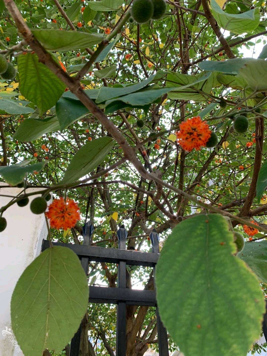 20220825111602front2_0_464520_Fl0IJrhjcuzL_i98O84pZ77KOrEl.png