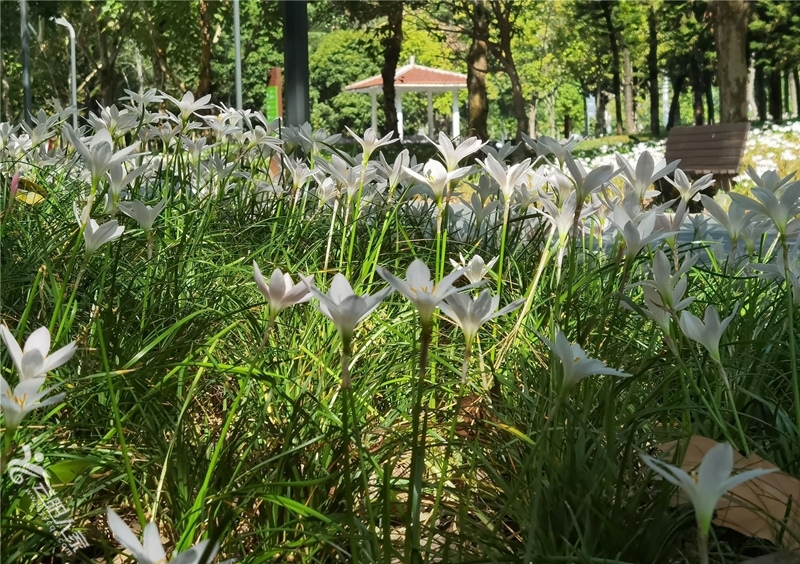 微信图片_20220908180107.jpg
