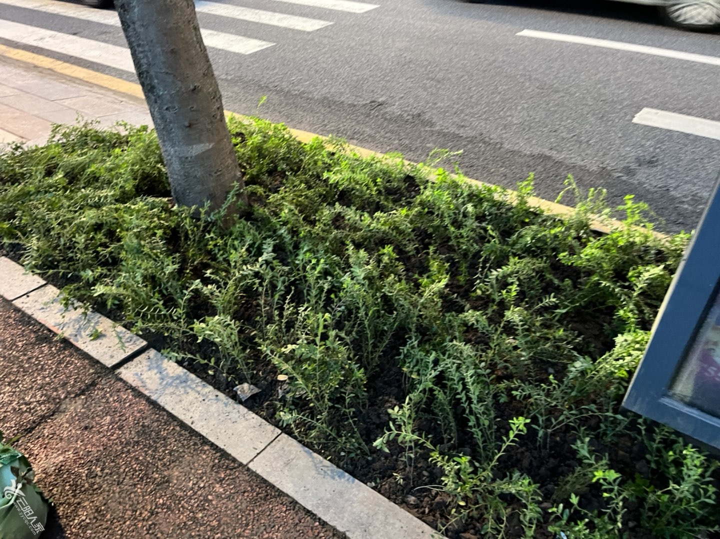 20220922184214front1_0_446154_Fj2VwZGhw0JYZJVu12yBUEh39aBK.jpg