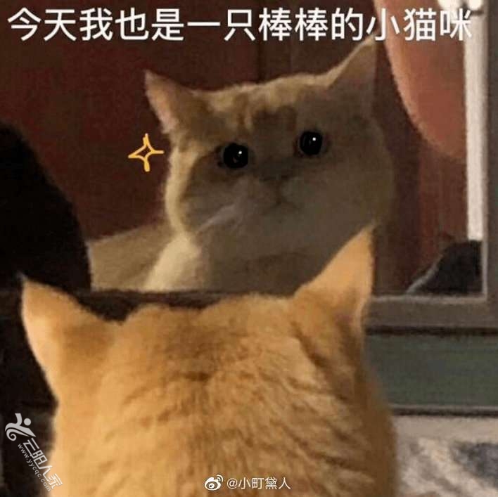 20221021085649front2_0_351299_FqBBattXuhaDbD5jY3KxFxtB9hsE.jpg