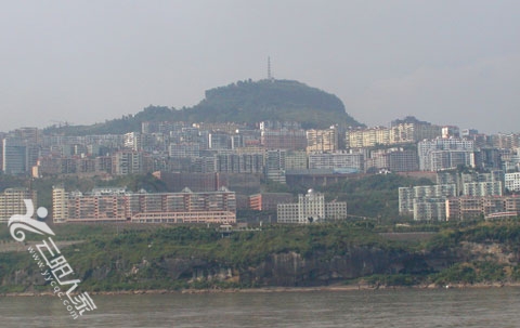1118890029_RxayX0.jpg