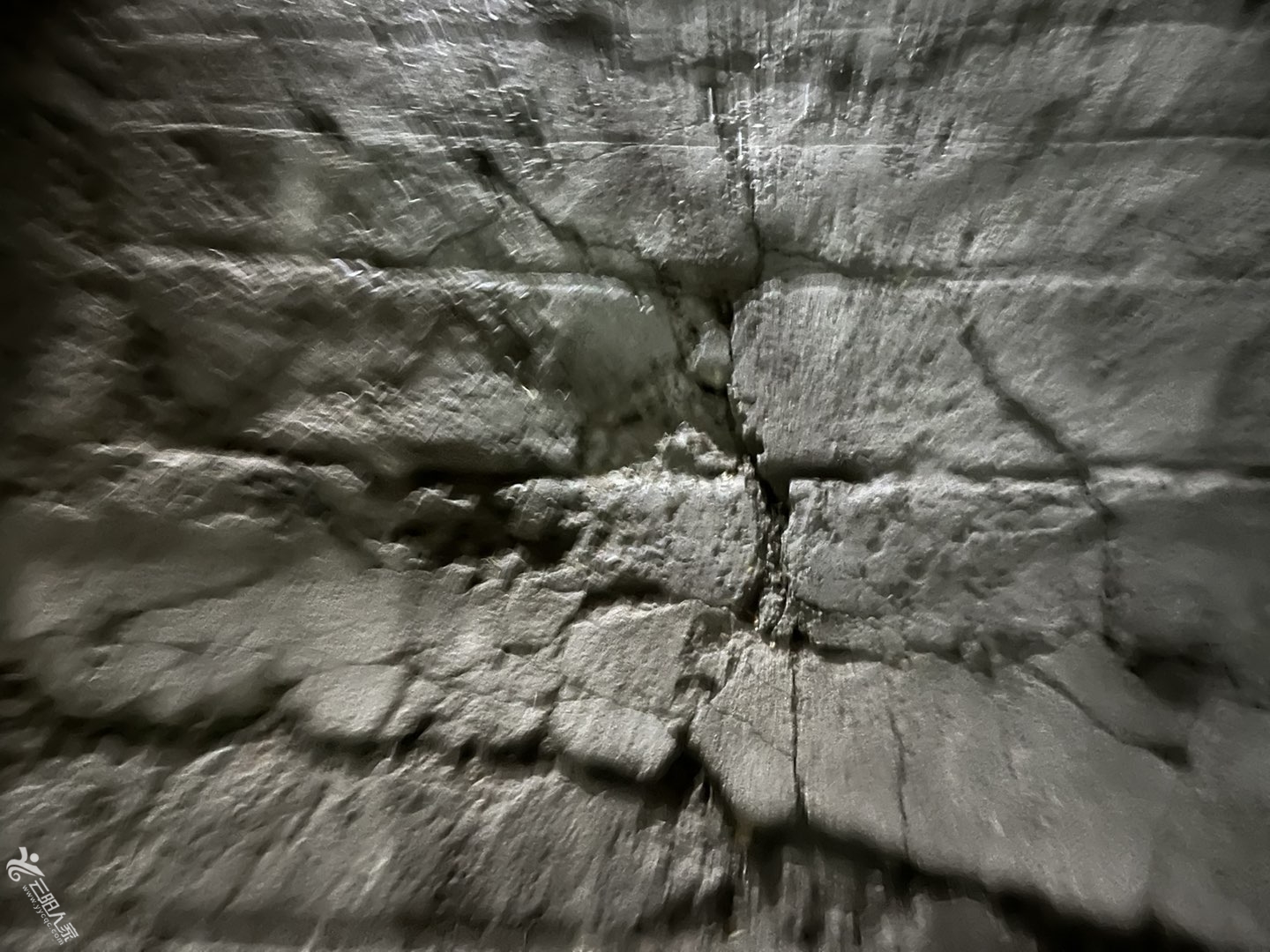20221208203720front1_0_446154_FjgH1tjFByNgAqRSaw3_Kw8gmZZB.jpg