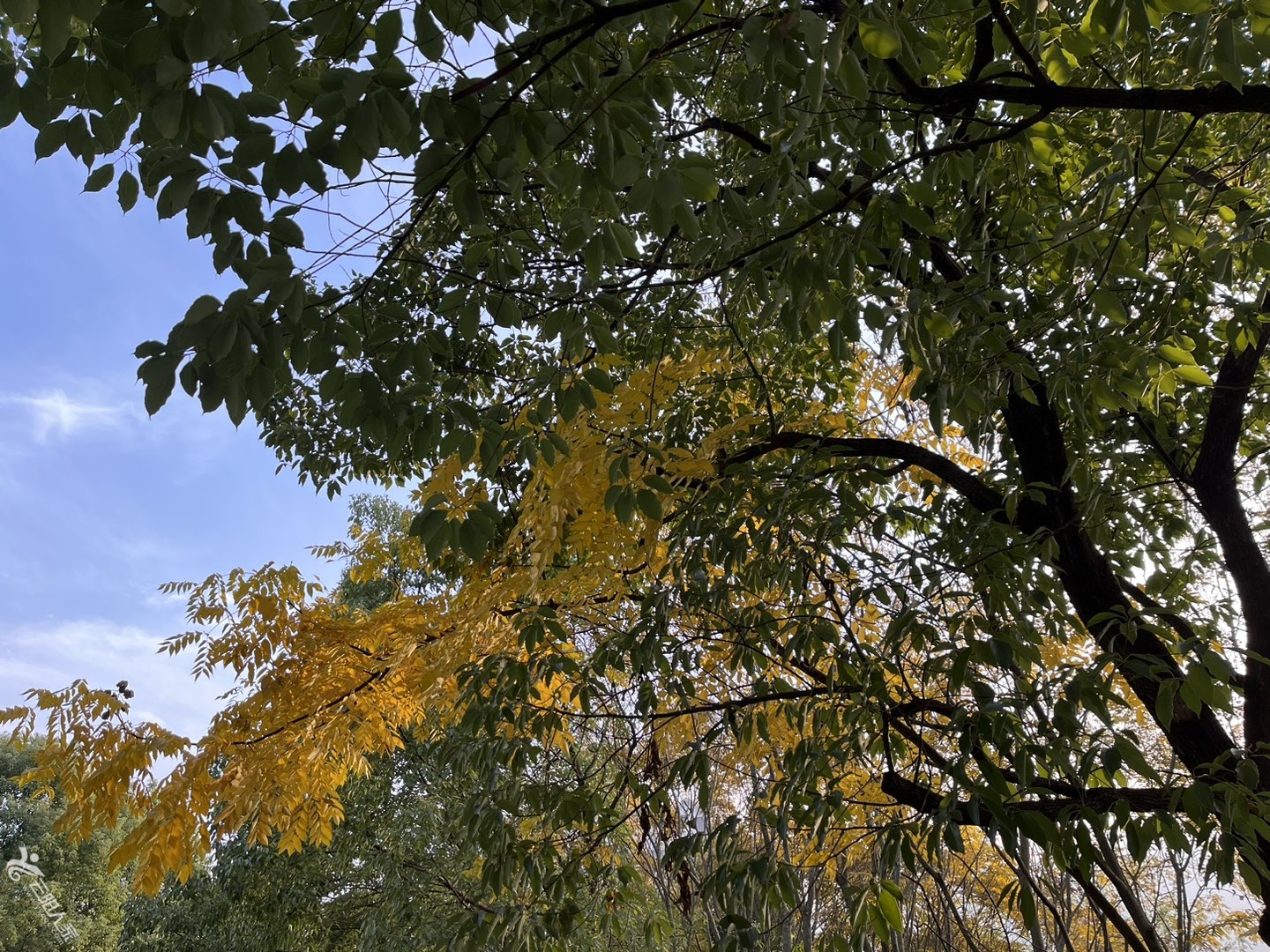 20221218163947front1_0_429167_FlRoUTWdb_JG1J0xMAH_UcRw0Y00.jpg
