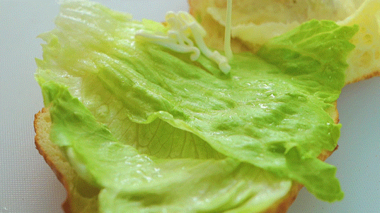 4a1b4a92a3a0ae00a62f1680172182fa.gif