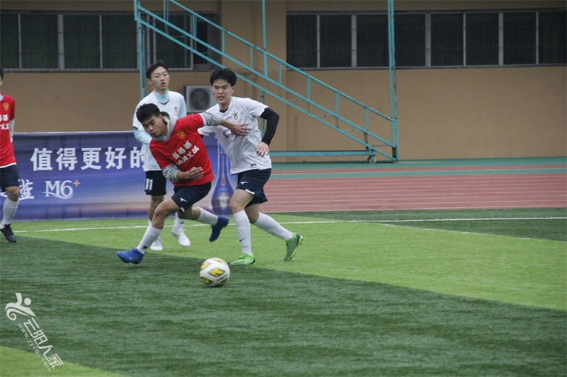 _MG_7595.jpg