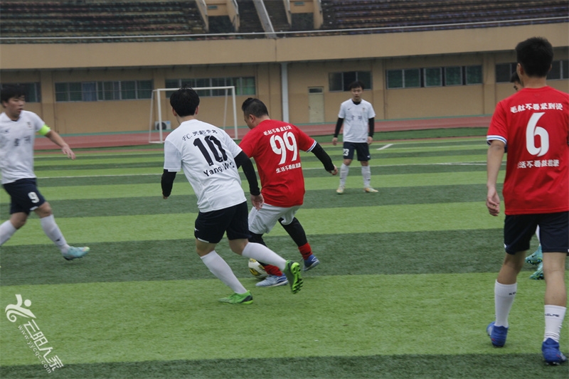 _MG_7704.jpg