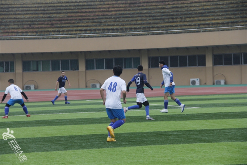 _MG_7665.jpg