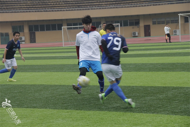 _MG_7731.jpg