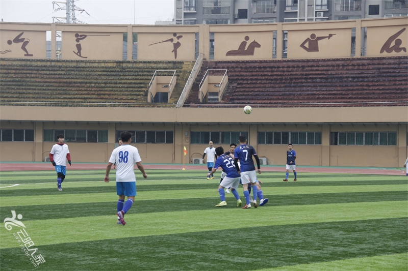 _MG_7804.jpg