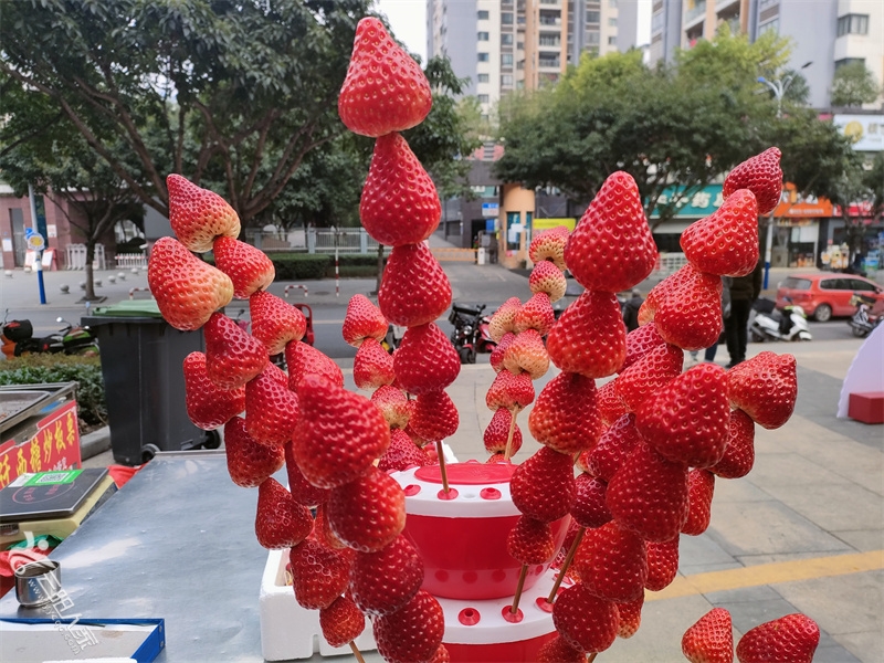 微信图片_20230107124637.jpg