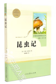 590014ed75271251a2e92cd3fca2e39e.png