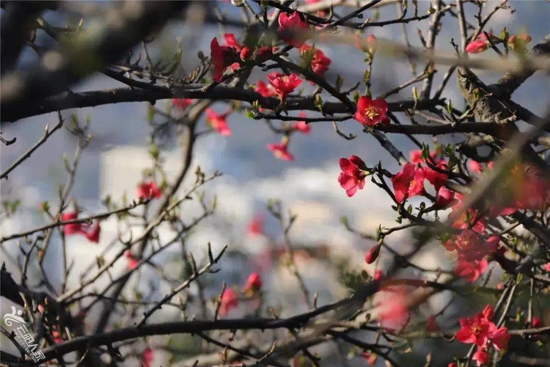 91c042ebdf2ae4c97efc641477b0a5cb.jpg