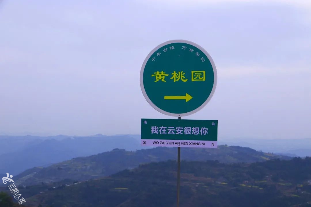 d2c53ddb0520eae3be0b71331042f689.jpg