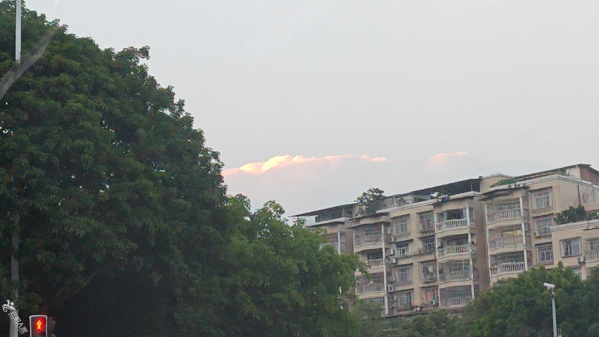 20230520131312front2_0_473668_FgiFZx2S1Mad46_LKong76H6Vt4E.jpg