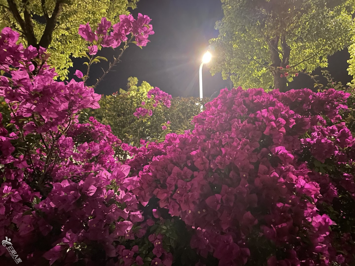20230525164648front1_0_466550_FmRb7E0SxgP0MgAbjXzQY1wcPUZ1.jpg