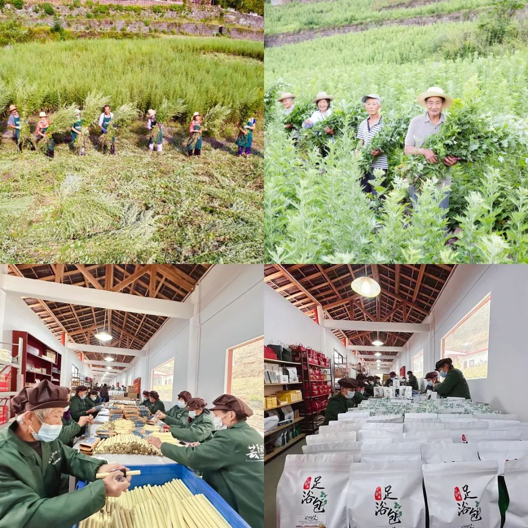 fa660966c7f6587429acf959a274fe7d.jpg