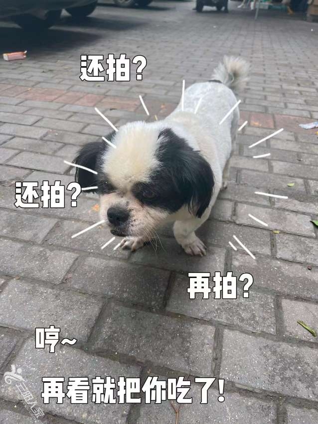 20230701174459front2_0_360606_Fp-7akL8XyUqBnIVqKPRYlfiYck7.jpg