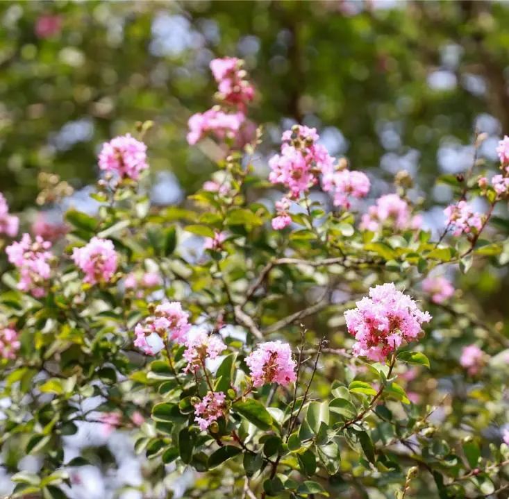 06c27bee964bf73ce20f7afb7ed82514.jpg