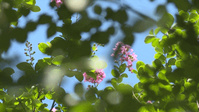 5be818d1041eb6e48a12432d6a1f12a9.gif