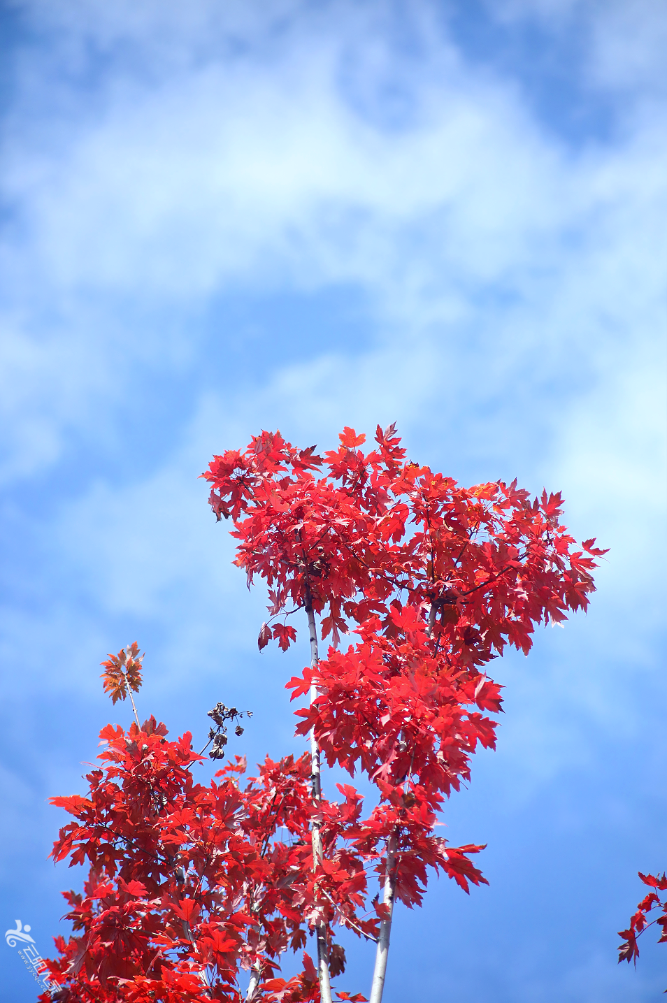 b554adbd64d9387e766c7511467c048b.png
