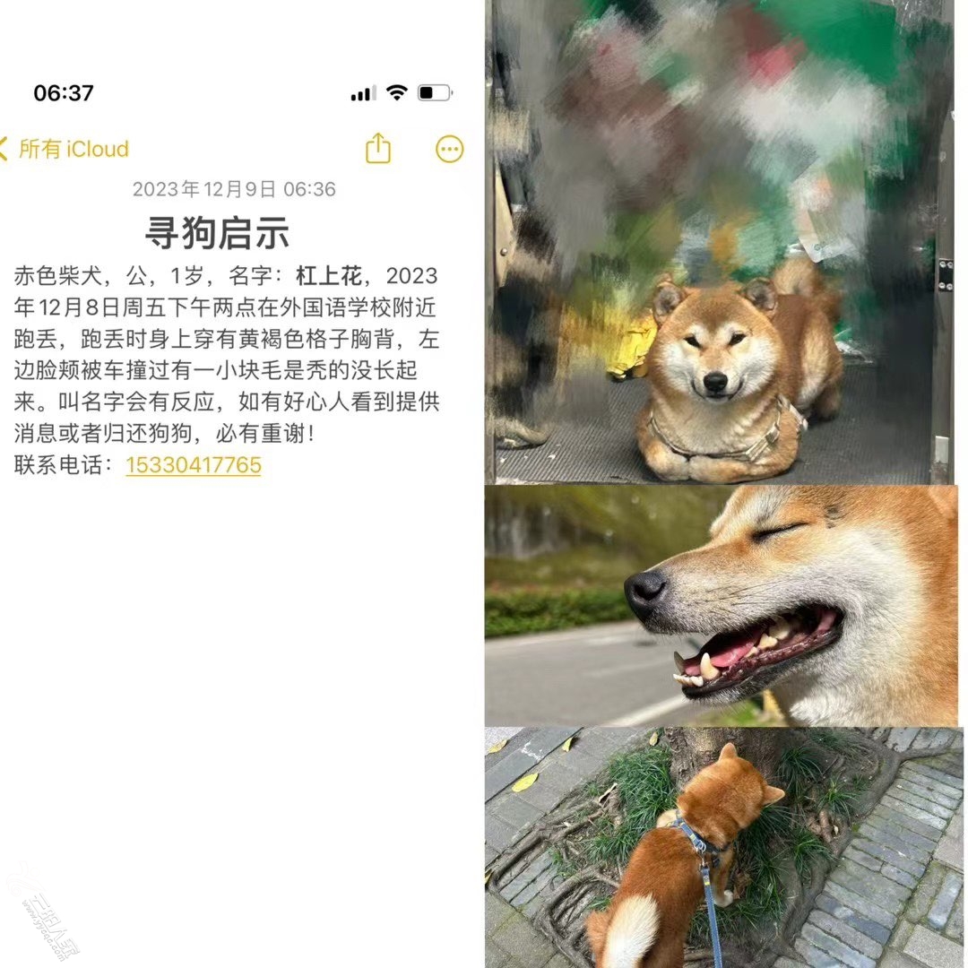 20231210193703front1_0_412377_Fn9u-ymTgP-DjKoZYuDcsVu9vw5G.jpg