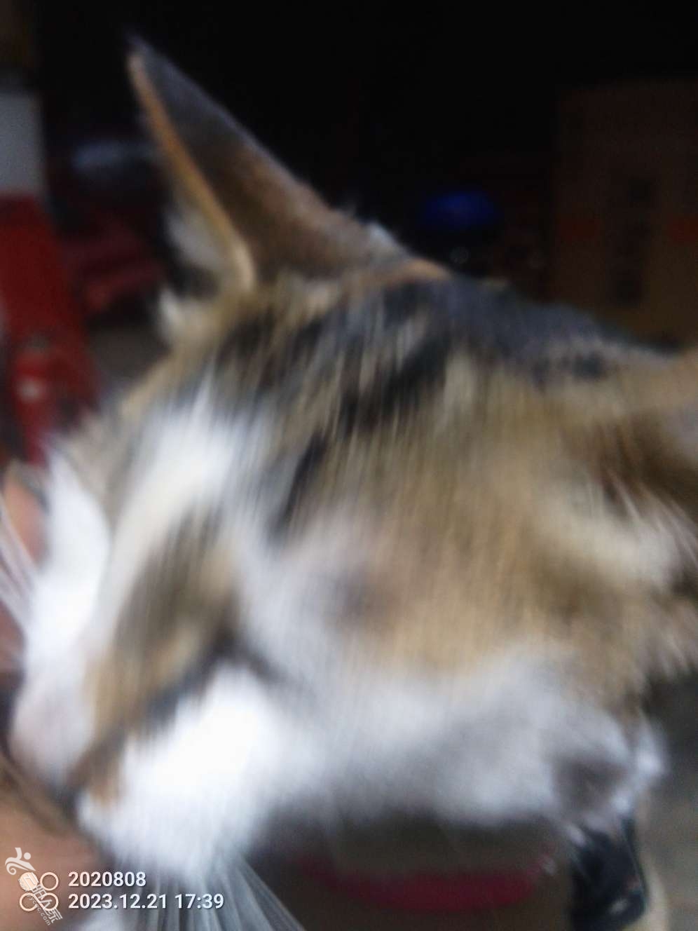20231221174323front2_0_508159_FvuFOvBZqT0L3C66z3uxNZkHaZzj.jpg