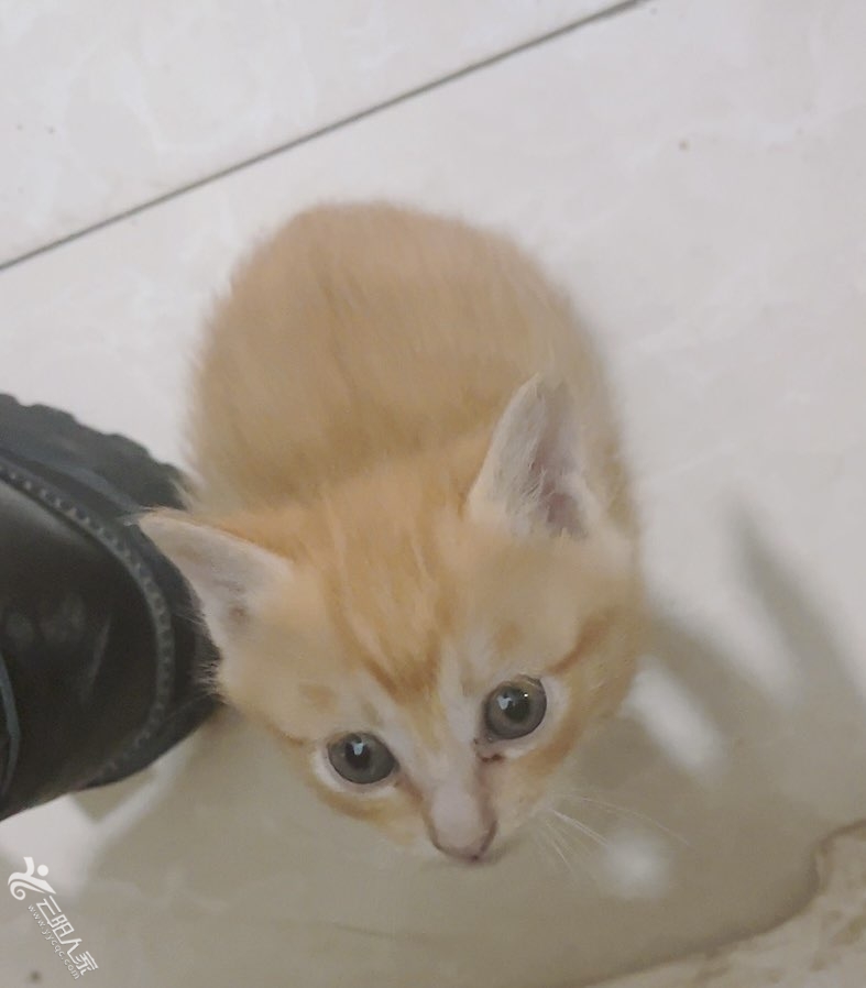 20240319110703front1_0_535671_FruoOAnX2F7BtUakLLeK7dh2Iwjs.jpg