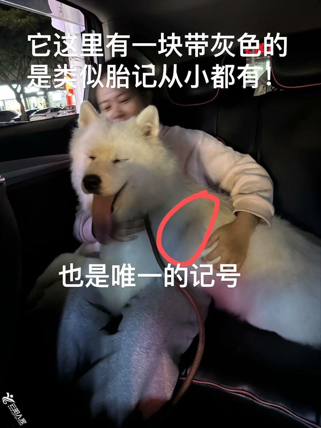 20240322231750front1_0_528337_FnjaP-_LuhEOG1ROPK2tqWUiEwrX.jpg