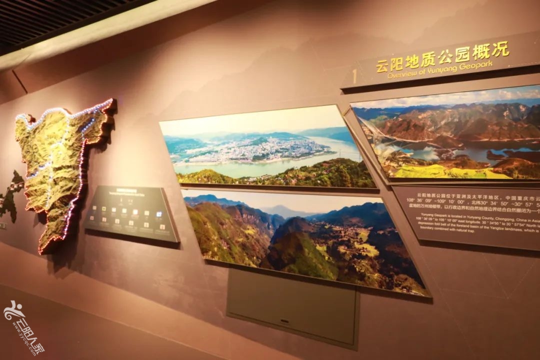 a2d560b1890774972f4b4e471f1ad06f.jpg