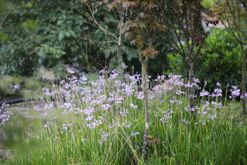 6f18c96ef1df8d799cb8f11230acb144.gif