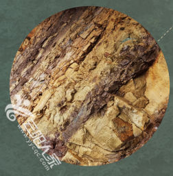50c26182d539b099932183b55c605d55.png
