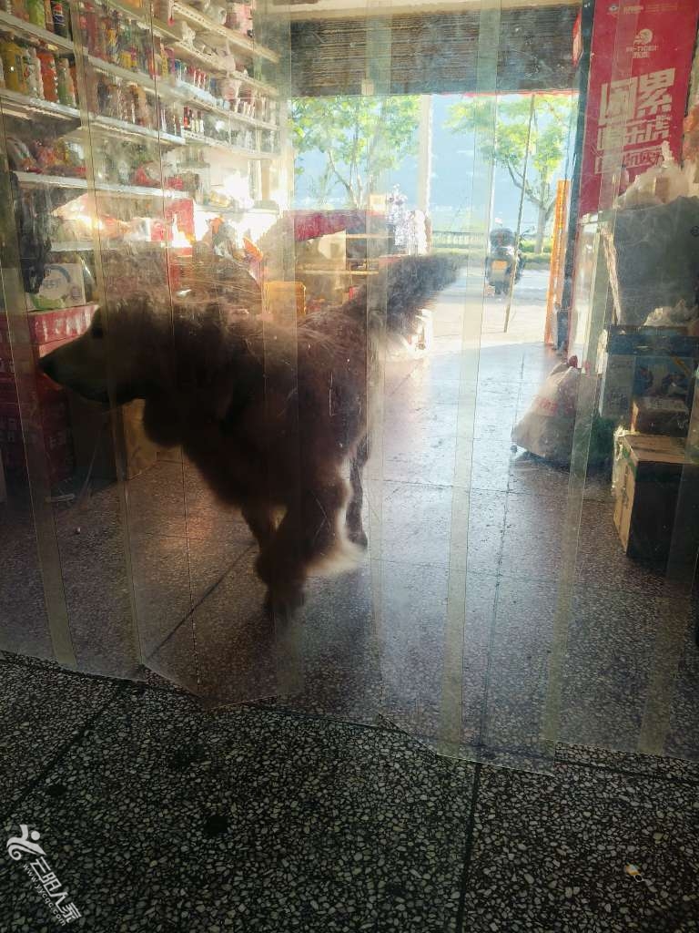 20240816182539front2_0_399545_FshiG0zxrCyzeyq5yz1aR3BJEbwV.jpg
