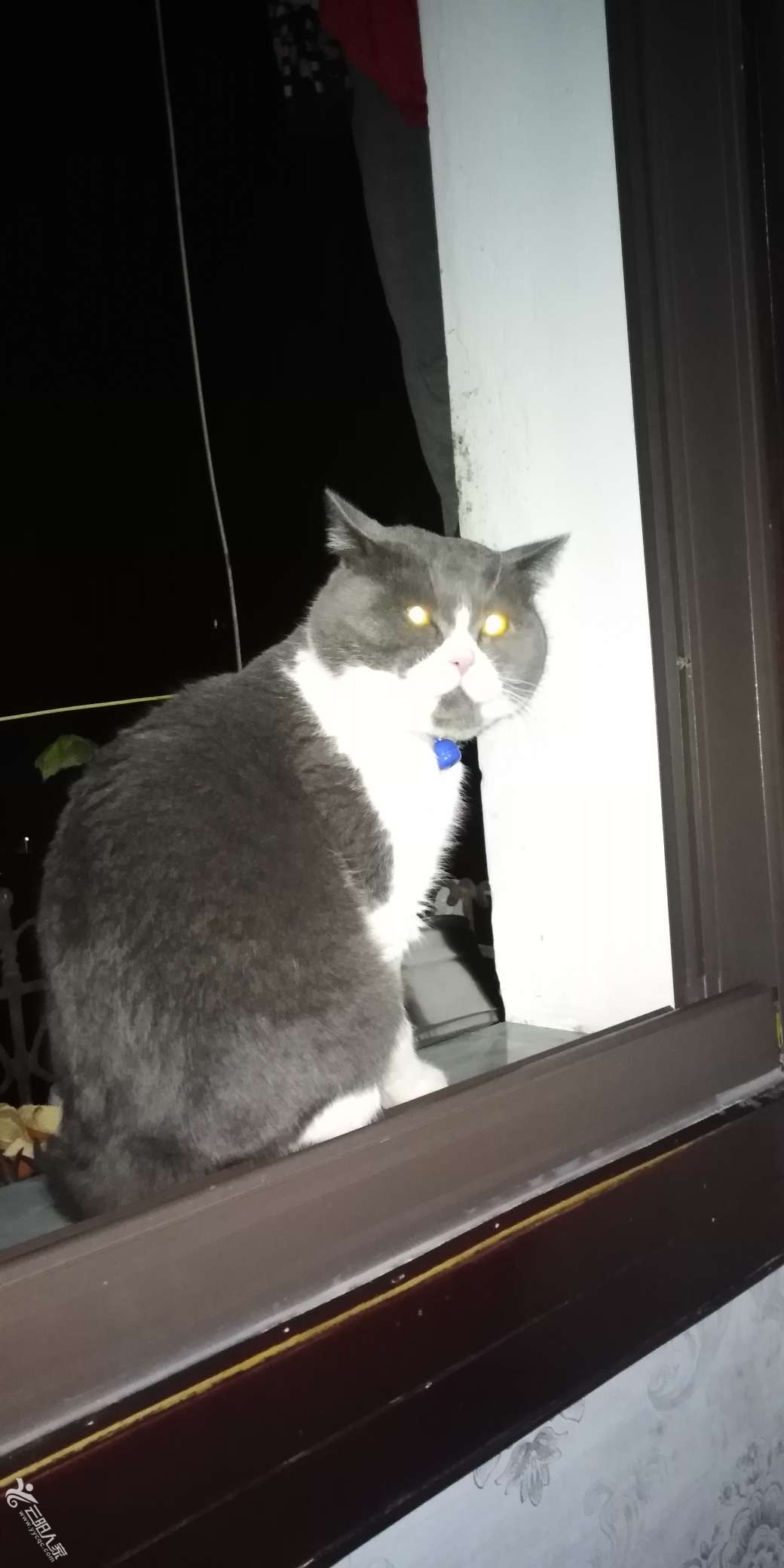 20240822100728front2_0_19608_Foe5KNihsmwEz0e8kLjQ8iMyWPwX.jpg