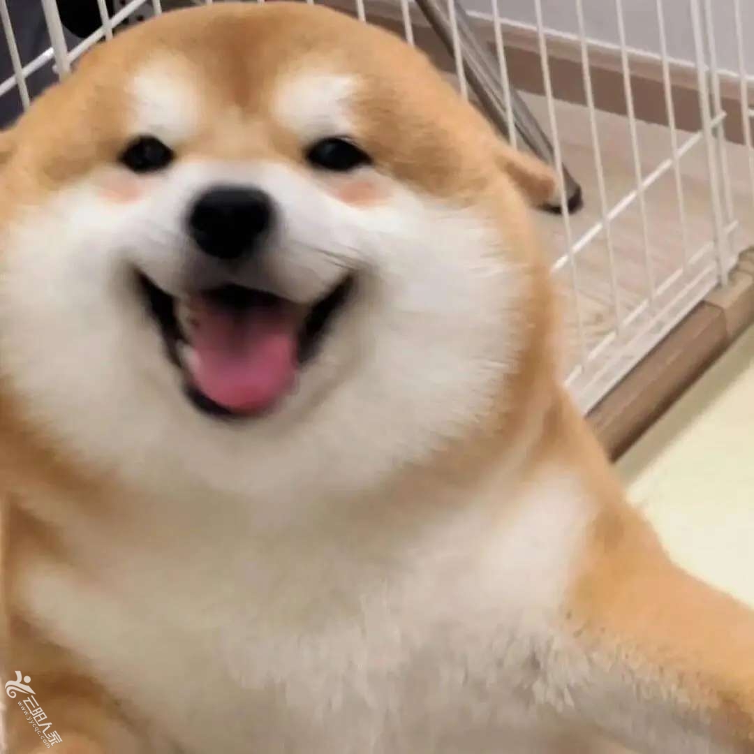 20240924212823front2_0_547433_FrtiqRTK_hQRsnAJLbwLbkN5OCZY.jpg