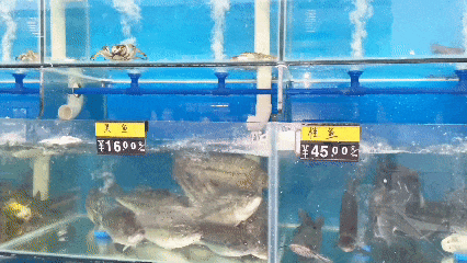 9b413aebbce49556ff8961b54e3214f2.gif