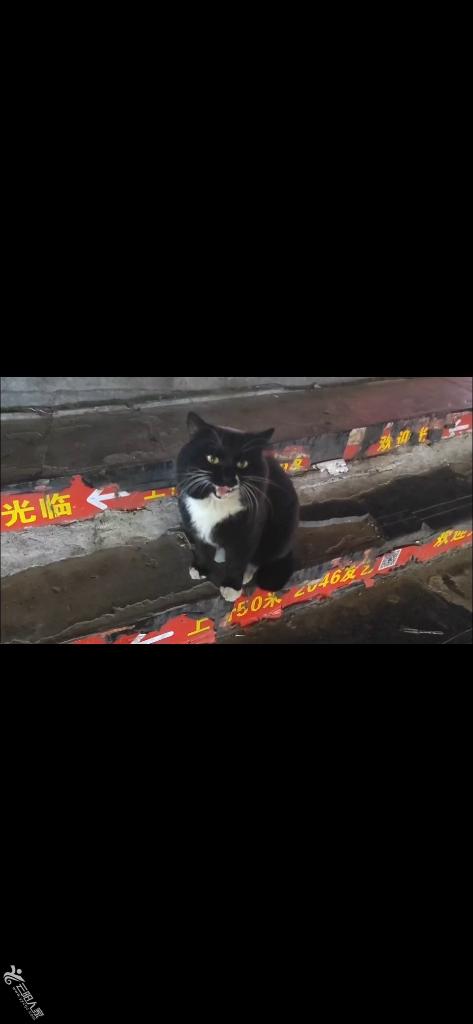 20241229190449front1_0_429167_Fqhoo11yQINGc9530yTgY9fdIvSS.jpg
