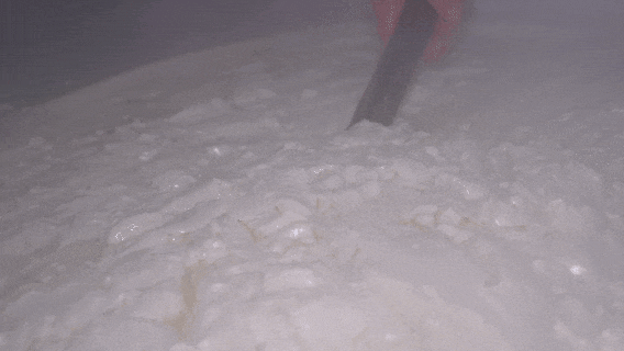 a40594cccb13c2d2ec611c9eab405d59.gif
