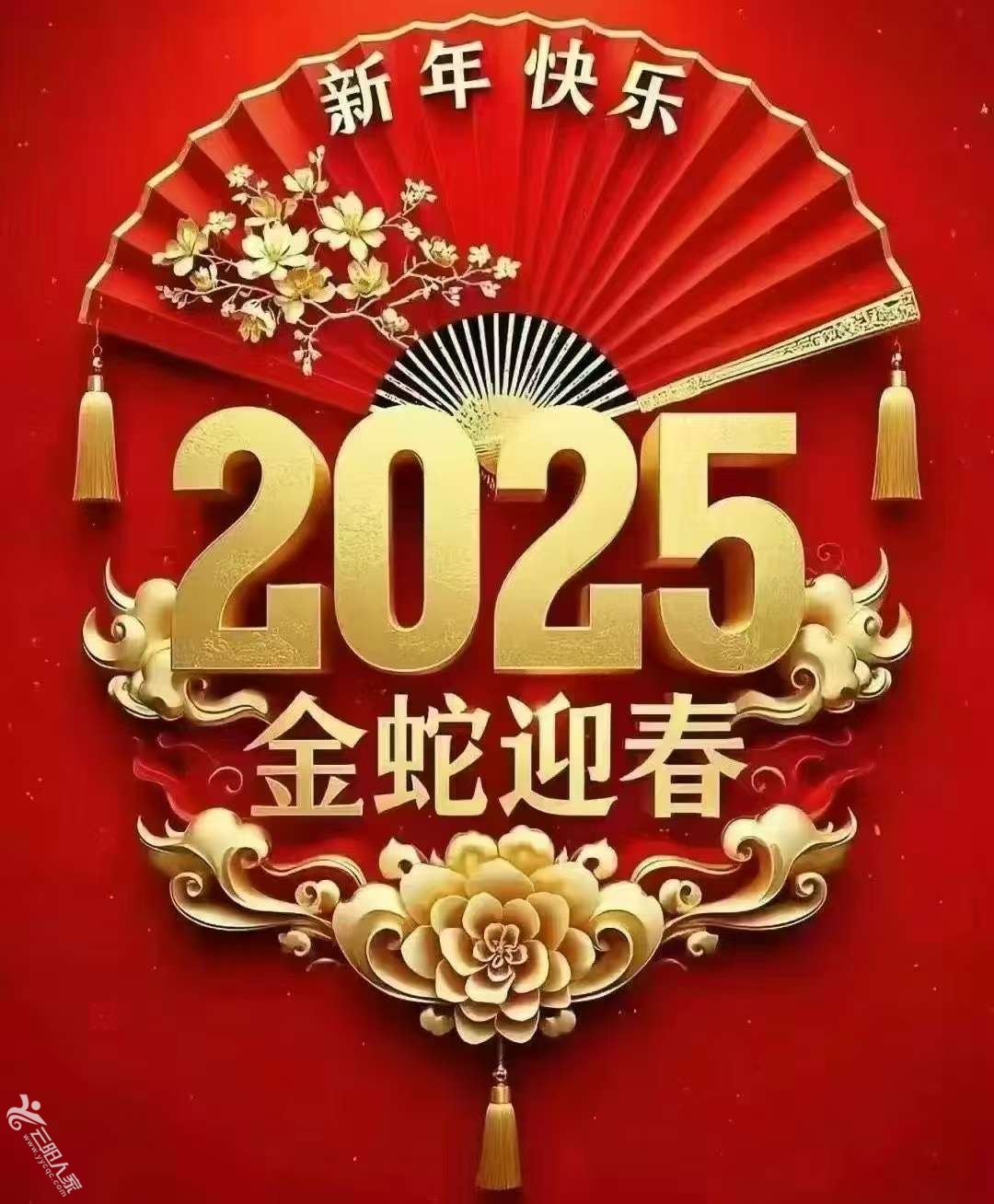 20250129084331front2_0_14078_FoVQUa9SpXKKCG5SxQ9t29hxkxwF.jpg