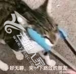 20250228184845front2_0_451681_Fi1NvIaN5VzDln2AEga2BX5jqawe.jpg
