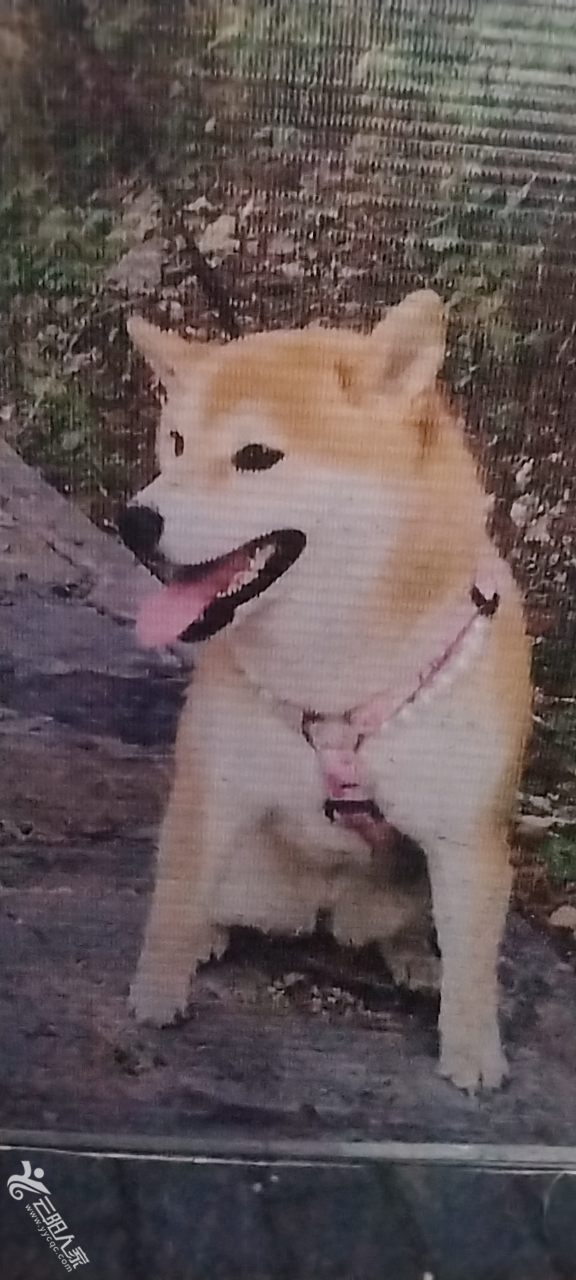 20250304184931front2_0_551735_Fo2EvJg2Y5pYcDf7B6gy3JkZB687.png