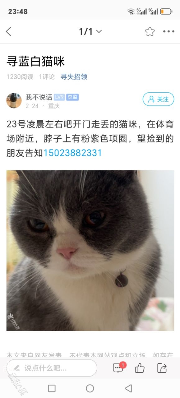 20250306235117front2_0_528448_FjWMTU8hw4mzOpPYyiAIj-qUgZ9U.jpg