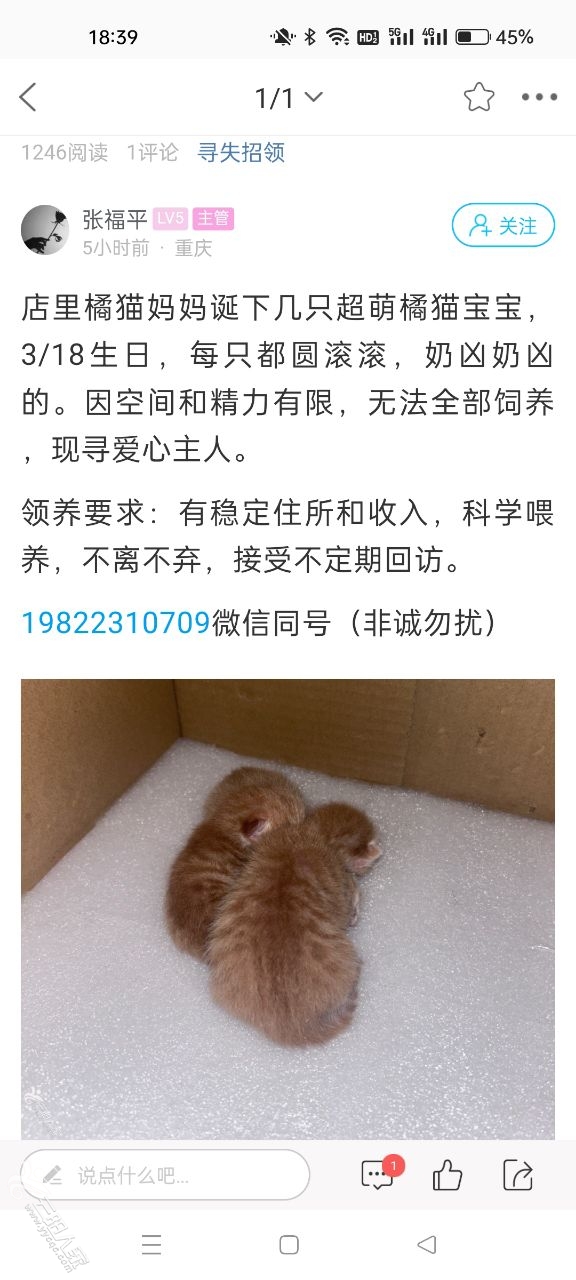 20250319184015front2_0_522132_Fr5RQPSf9lw-9m8Prt1D8MlU3yc4.jpg