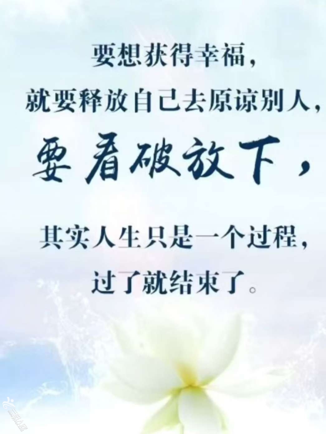 20250415081645front2_0_560352_FrkYsfChln_28rGyiw-hm5FGuBoI.jpg