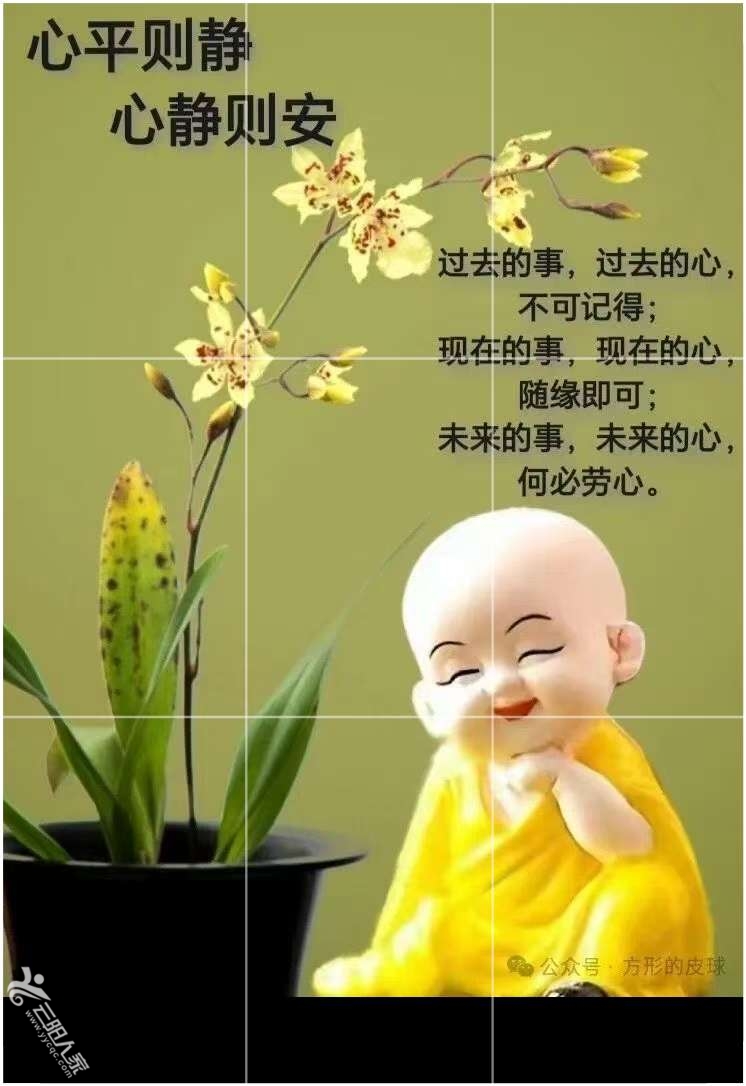 20250505122612front2_0_560352_FqqD6hA5pXQCDt2RLaQnEbZ78e7M.jpg