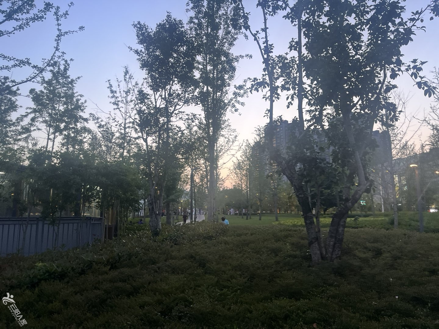 20250506084533front1_0_446154_FpfCzYPHcUiSHfaqPTKgsFPpjqJ_.jpg