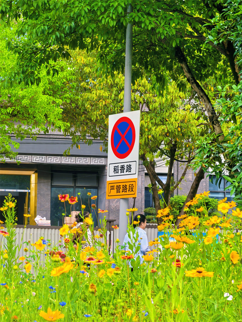 云阳地图.jpg