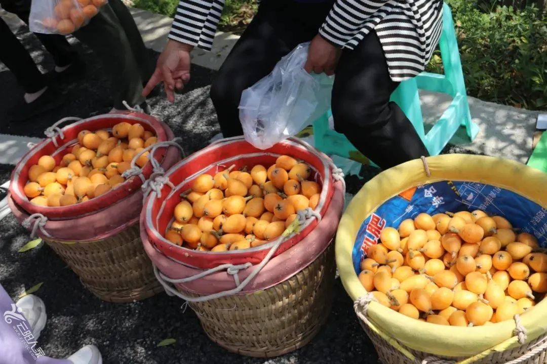 微信图片_20250511093751.jpg