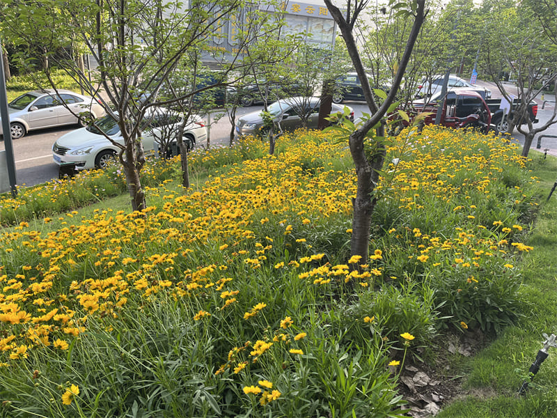 微信图片_20250510190401.jpg