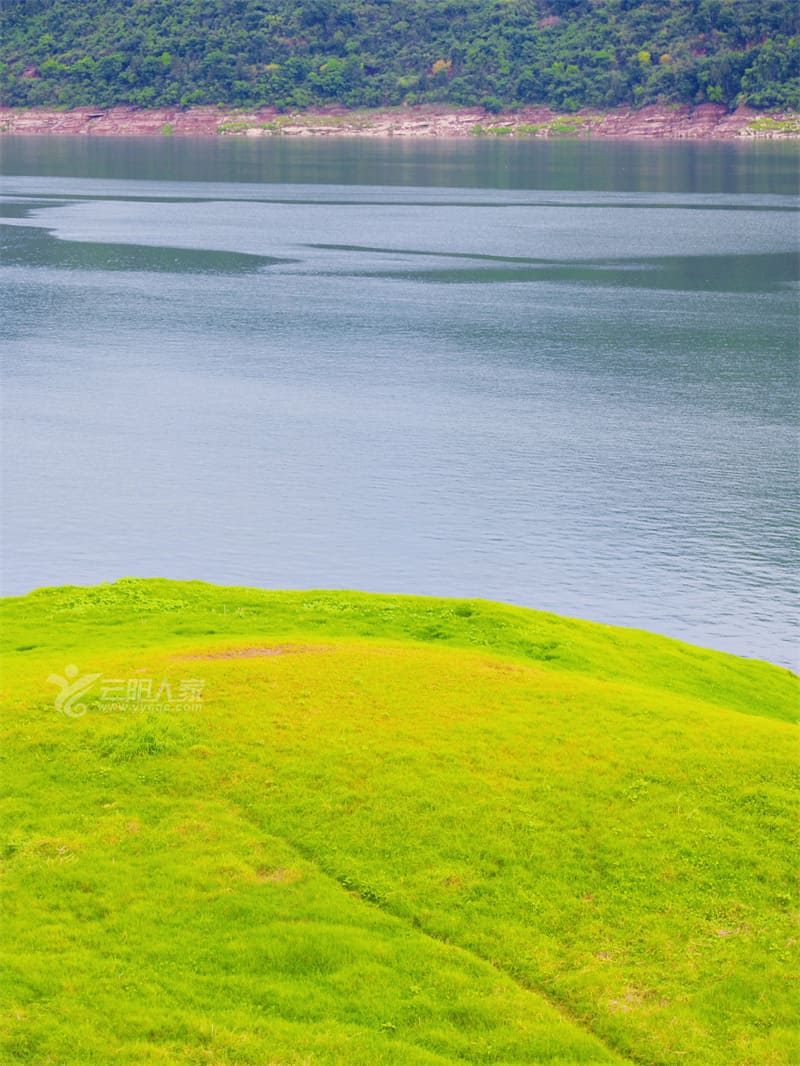 c6d3f2b8fa15f1e7d06bdedcefdf66de_origin(1).jpg
